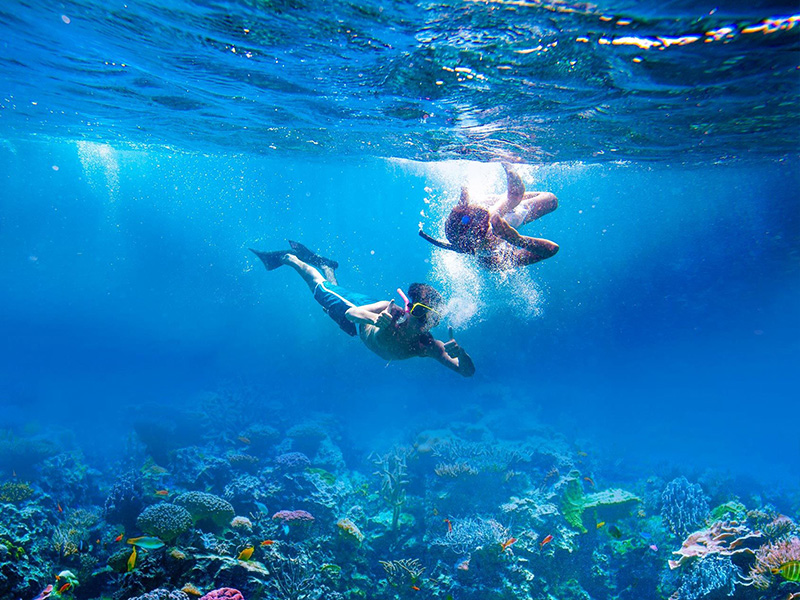 Tour image
