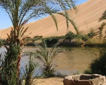 Day Trip to Bahariya Oasis from Cairo – Explore the White & Black Deserts