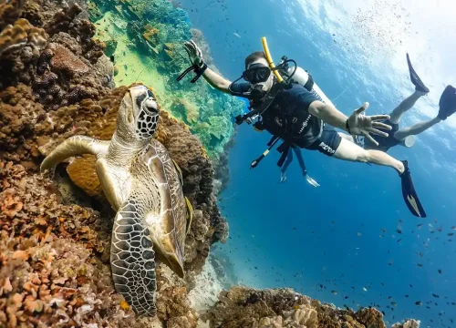 Coral Magic Egypt 7 days
