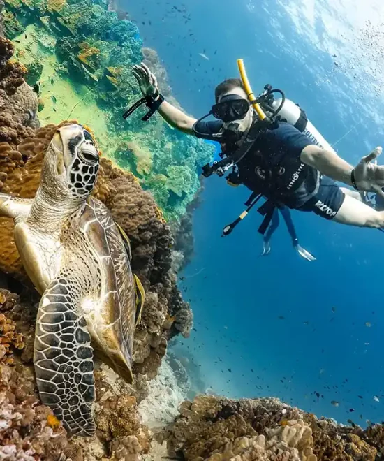 Coral Magic Egypt 7 days